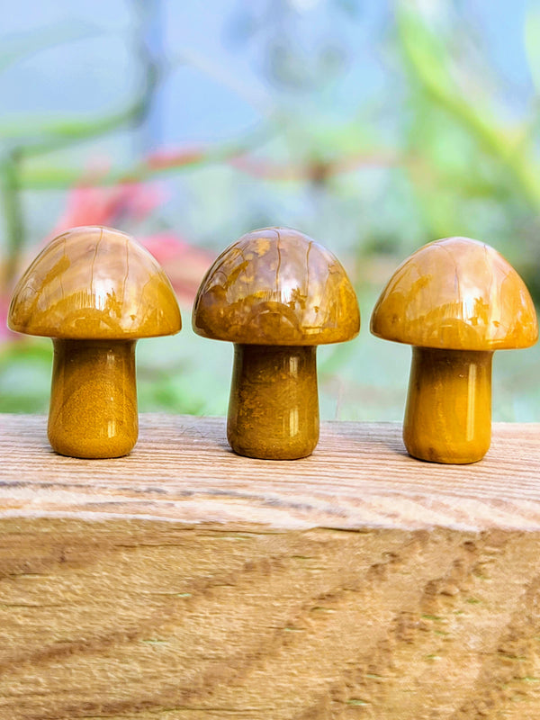 20220127_122905_600x.jpg?v=