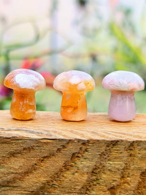 Mini Flower Agate Crystal Mushroom