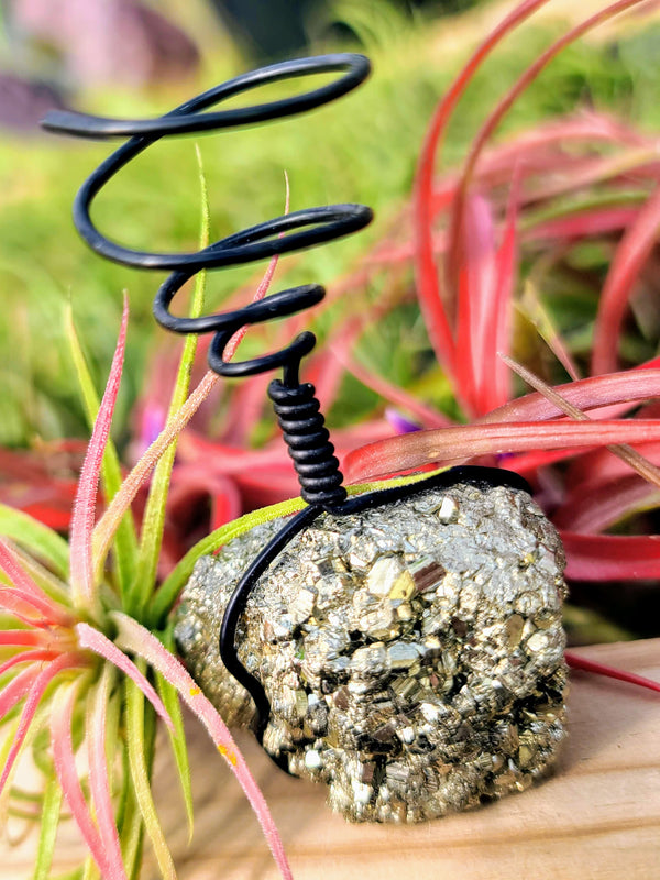 air plant rock holder WYSIWYG Pyrite Air Plant Holder with Ionantha Mexican