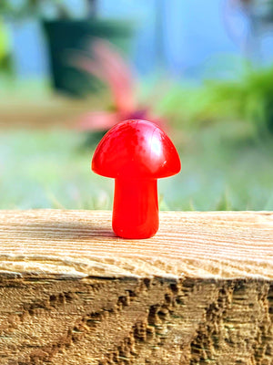 Mini Red Dyed Agate Crystal Mushroom