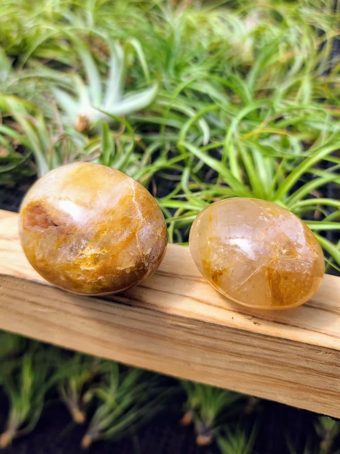 Golden Healer Crystal Palm Stone