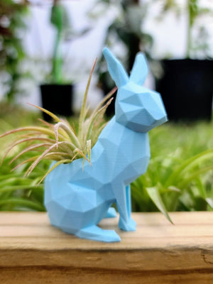 Small Rabbit 3D Printed Holder w/ Ionantha