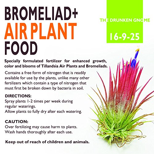 do you fertilize air plants 8oz Air Plant Food and Fertilizer