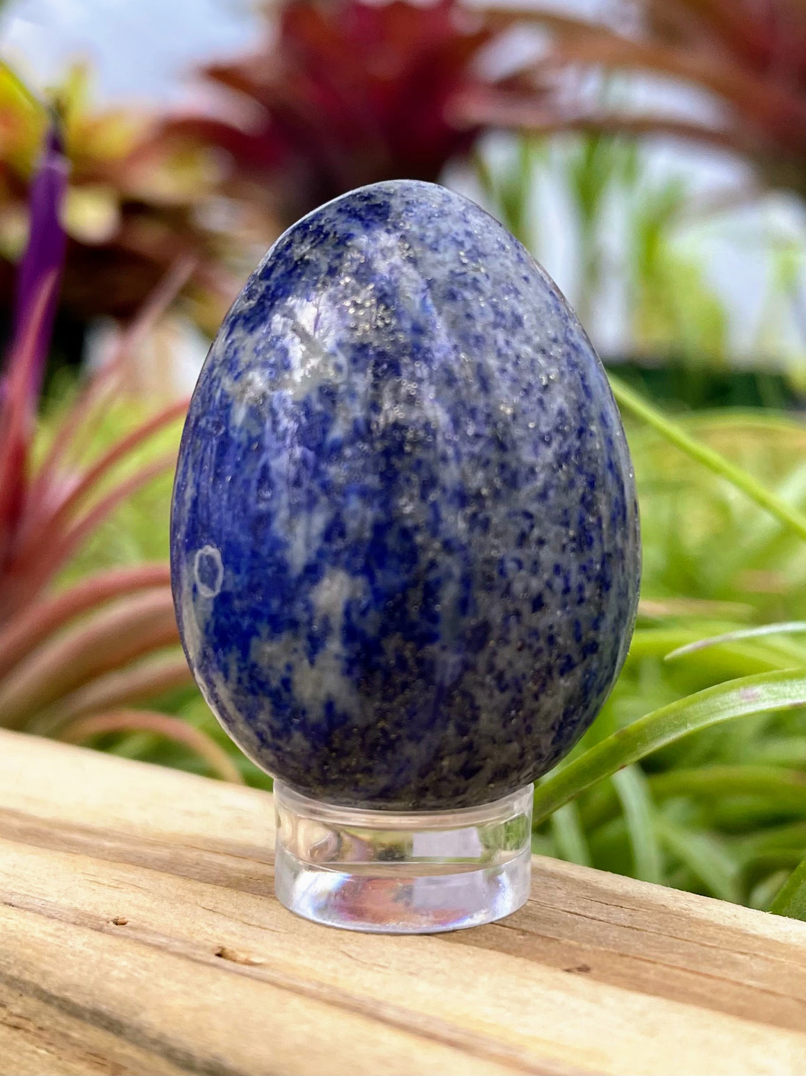 WYSIWYG Lapis Lazuli Crystal Egg