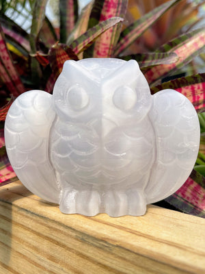 Selenite Owl Crystal Carving