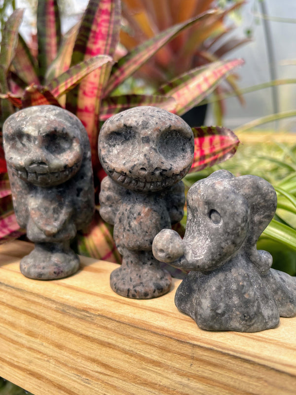 IMG_6324_600x.jpg?v=1663698986