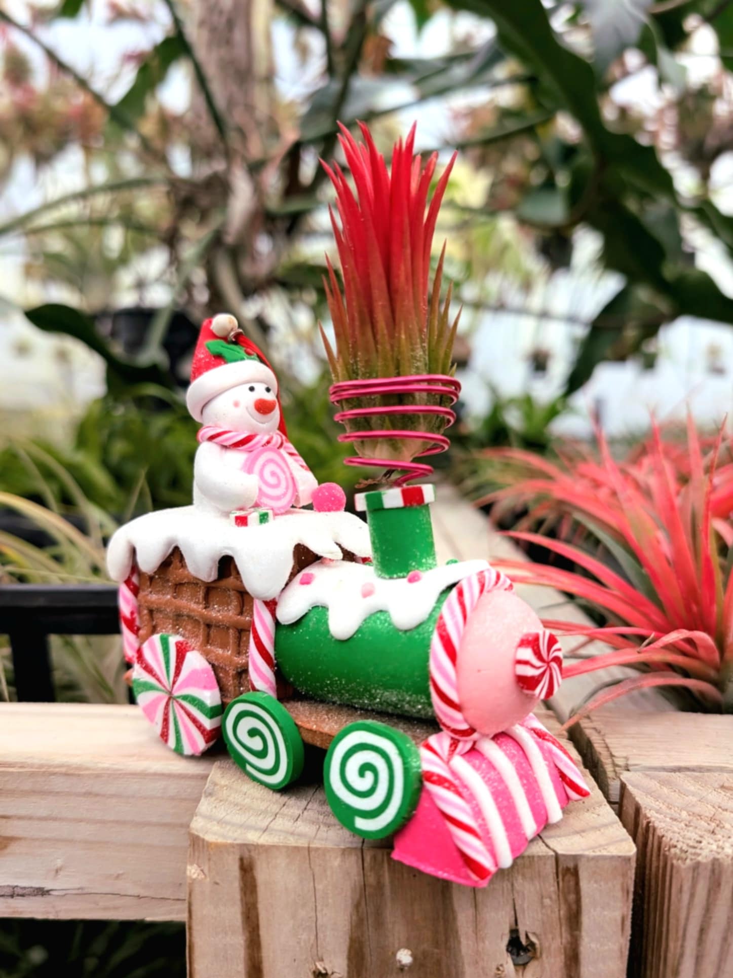 snowman air plant Christmas Gift