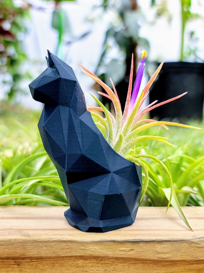 Small Cat 3D Printed Holder w/ Ionantha - Metallic Teal