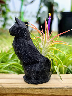 Small Cat 3D Printed Holder w/ Ionantha - Galaxy Black