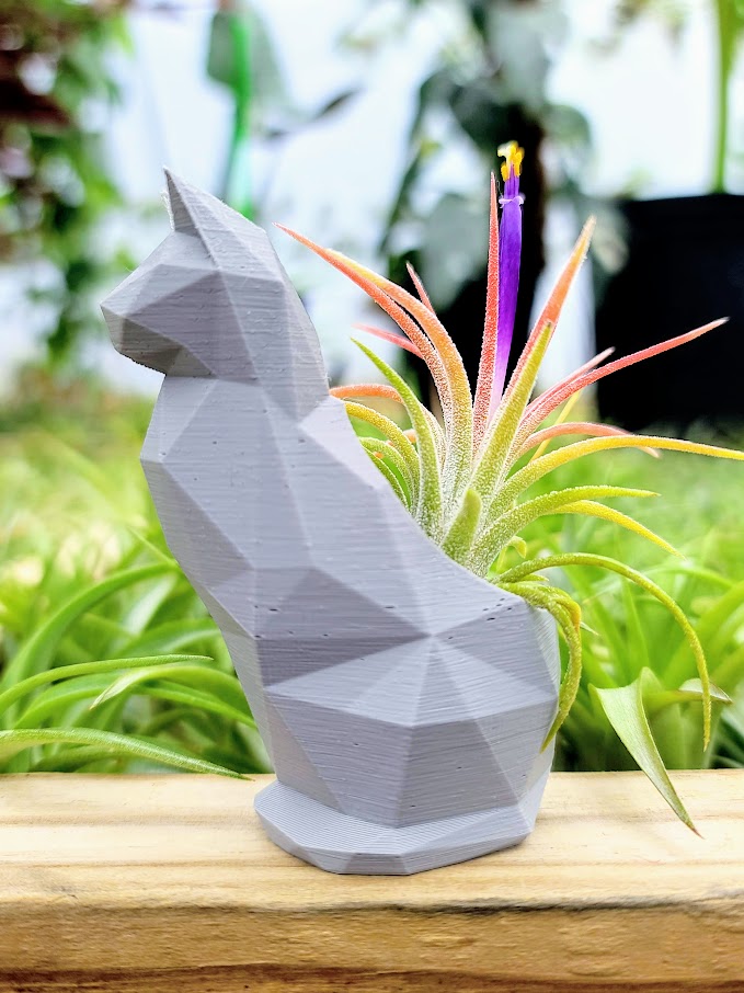 Small Cat 3D Printed Holder w/ Ionantha - Gray