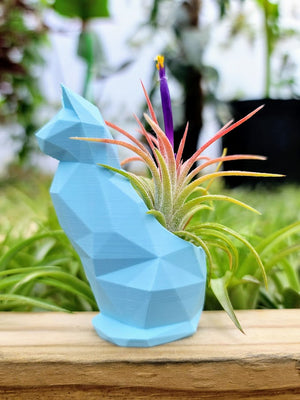 Small Cat 3D Printed Holder w/ Ionantha - Baby Blue