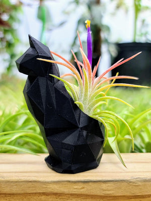 Small Cat 3D Printed Holder w/ Ionantha - Metallic Black