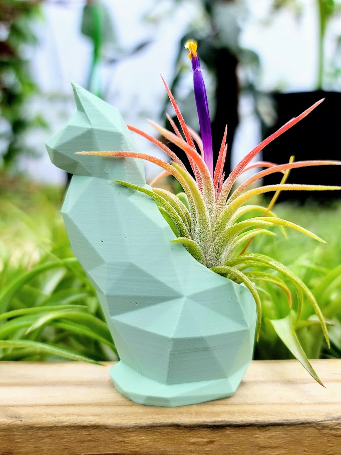 Small Cat 3D Printed Holder w/ Ionantha - Mint Green
