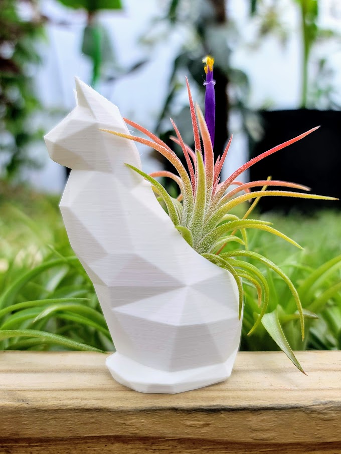 Small Cat 3D Printed Holder w/ Ionantha - White