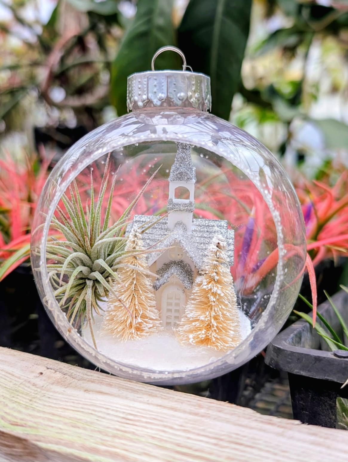 air plant terrarium ornament Christmas Gift - Church Snow Globe Ornament with Ionantha Air Plant