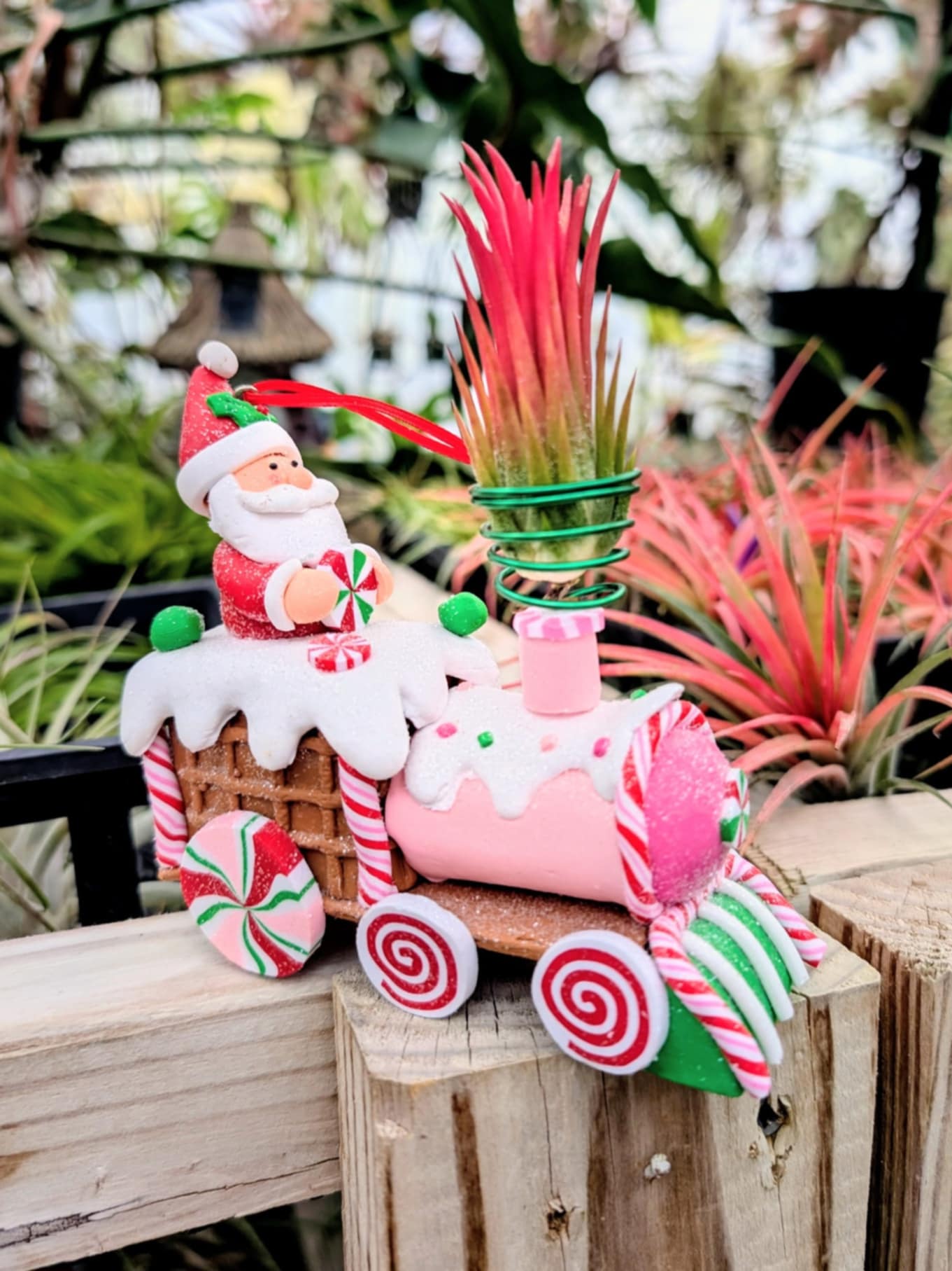 Christmas Gift - Clay Santa Train with Fuego Air Plant