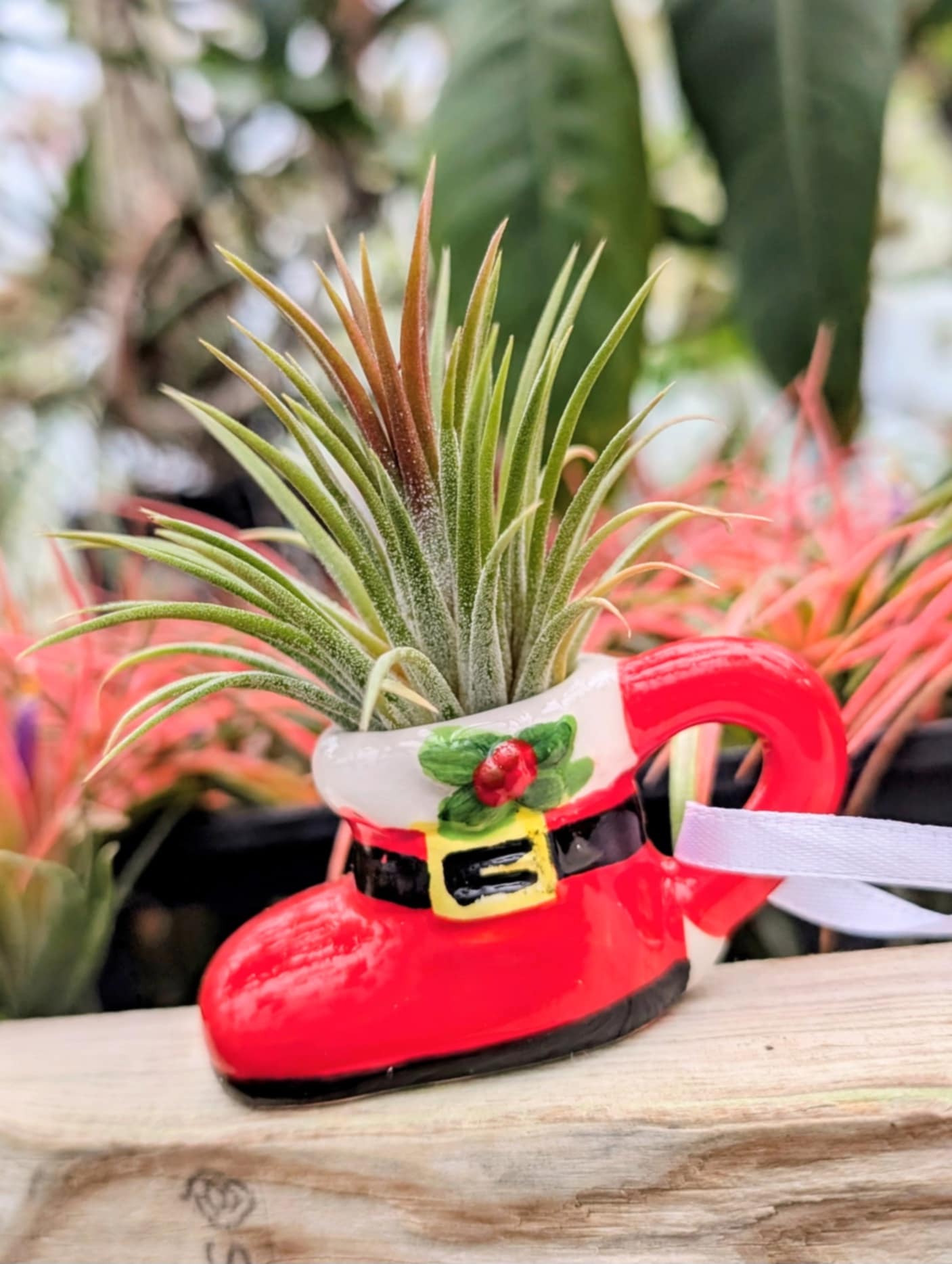 christmas air plant holder Christmas Gift