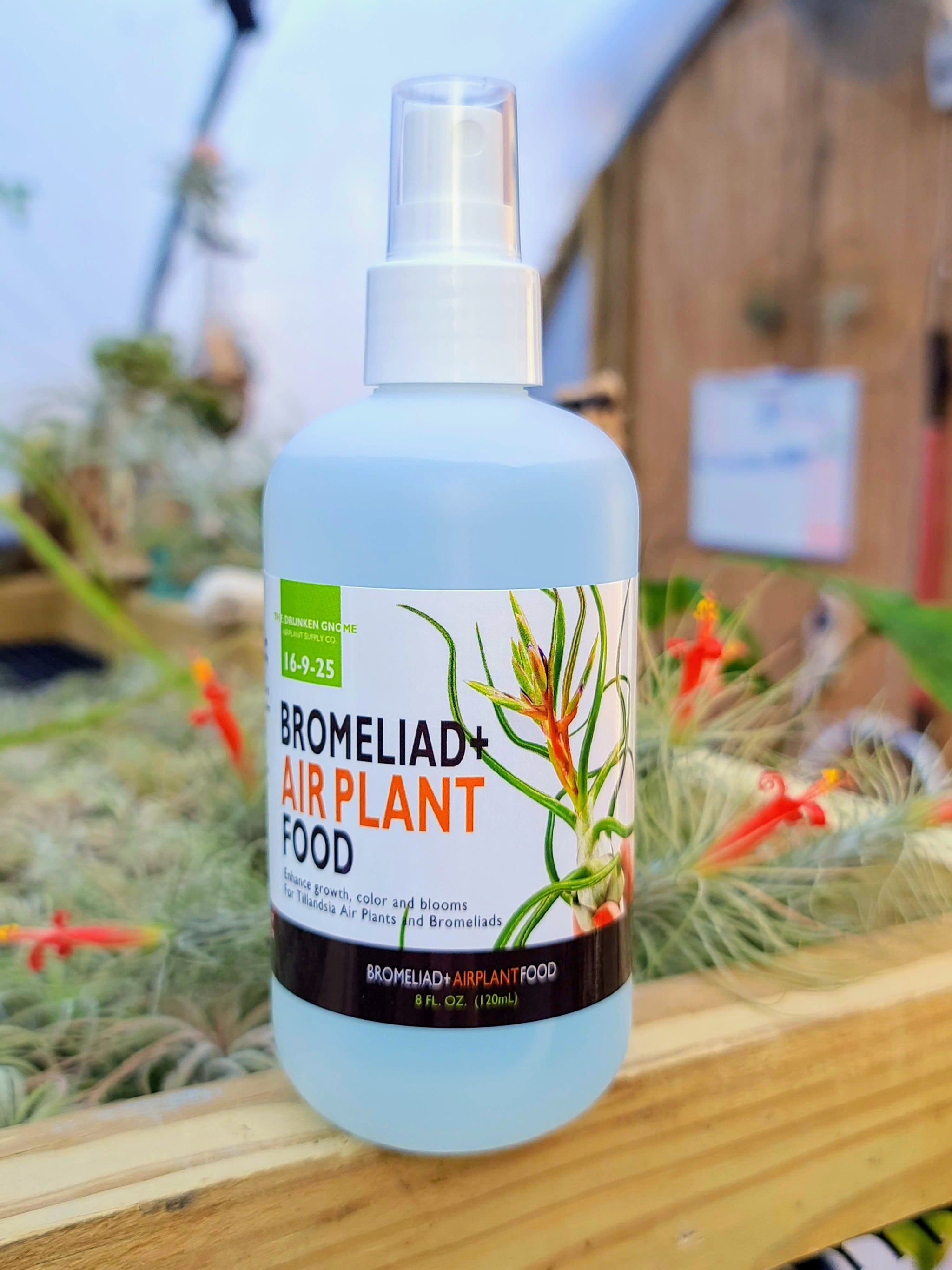 plantaflor air plant food 2oz Air Plant Food and Fertilizer