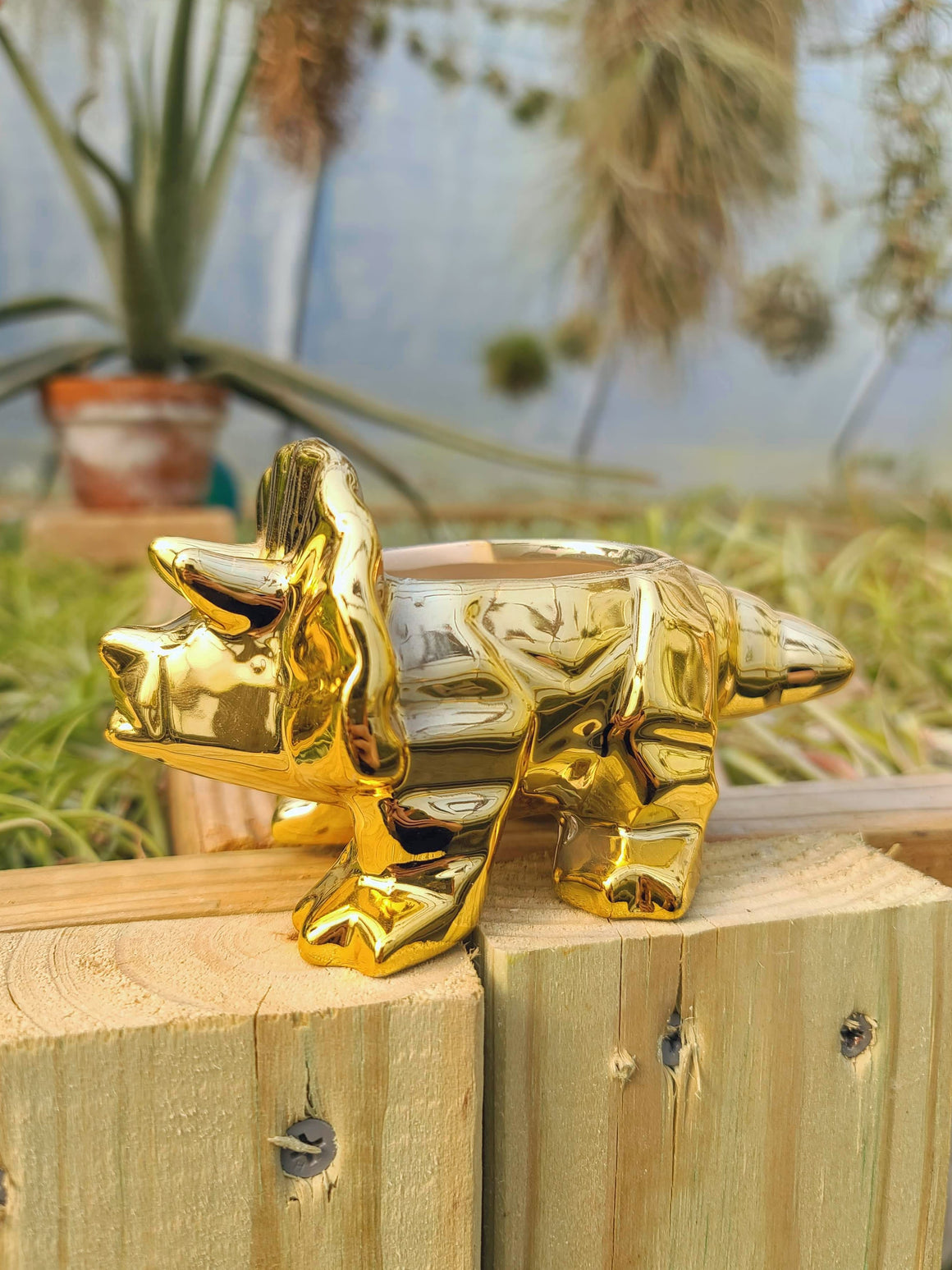 Ceramic Triceratops Plant Holder Gold