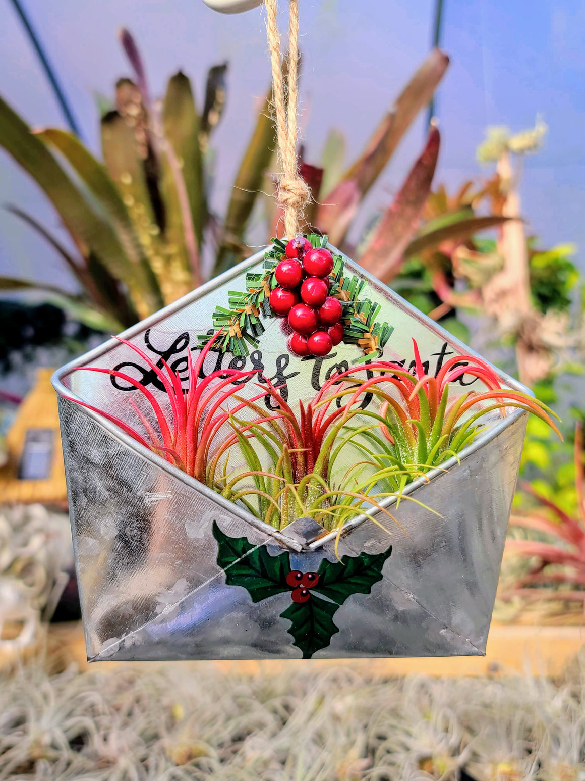 Letter to Santa Ornament with 3 Air Plants