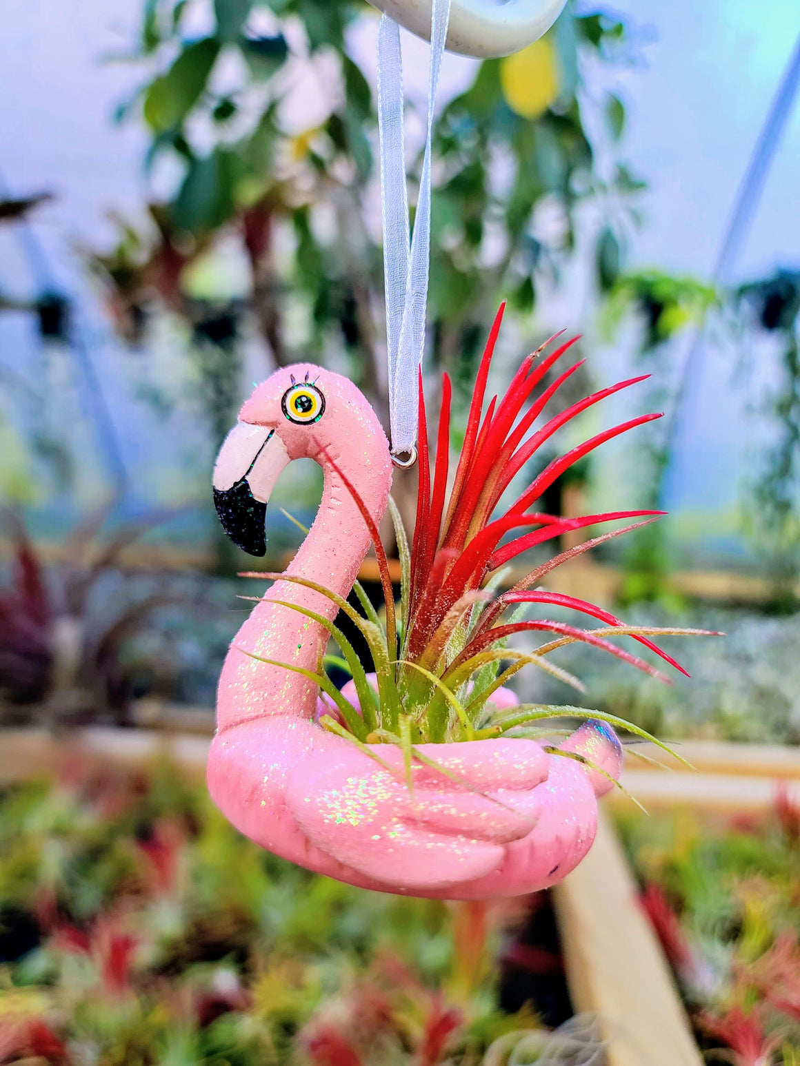 Flamingo Float Ornament with Air Plant
