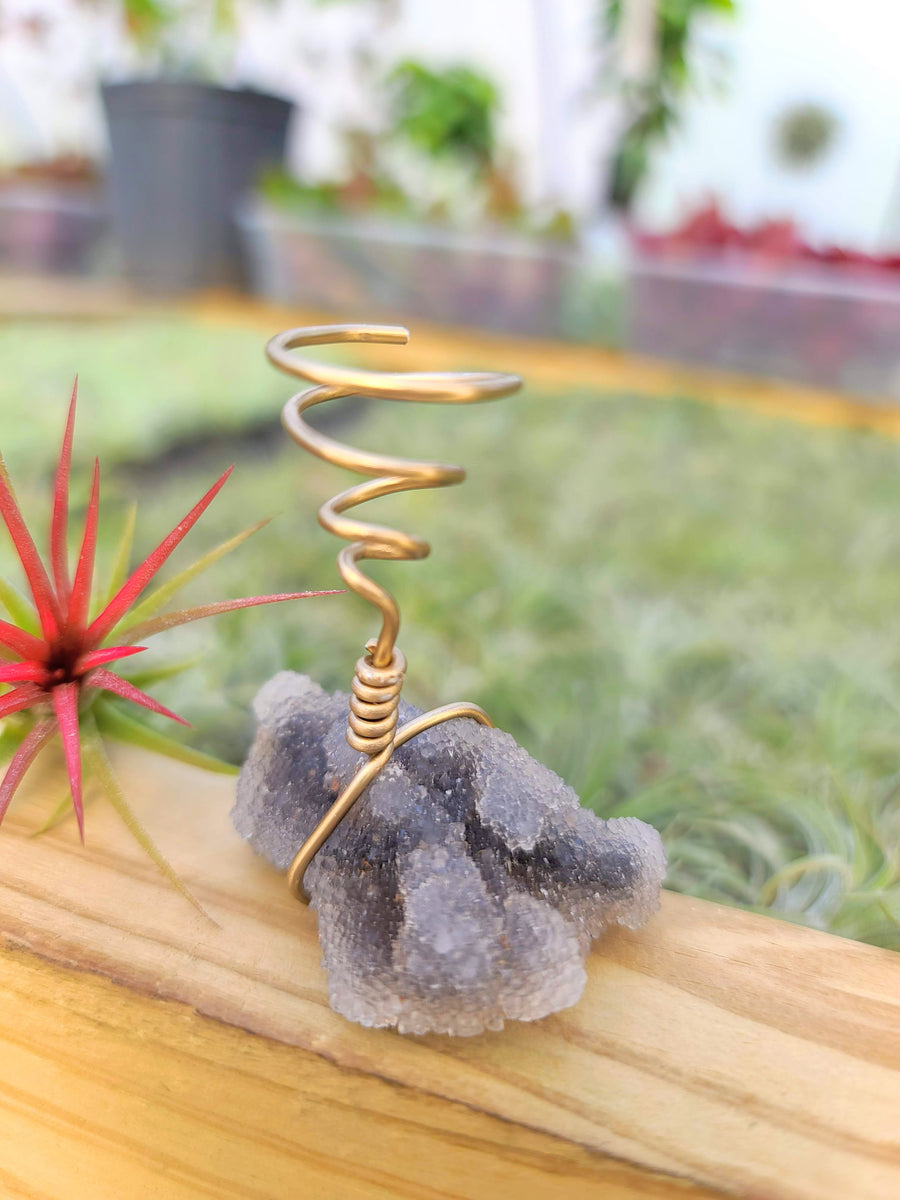 WYSIWYG Sphalerite Air Plant Holder with Fuego