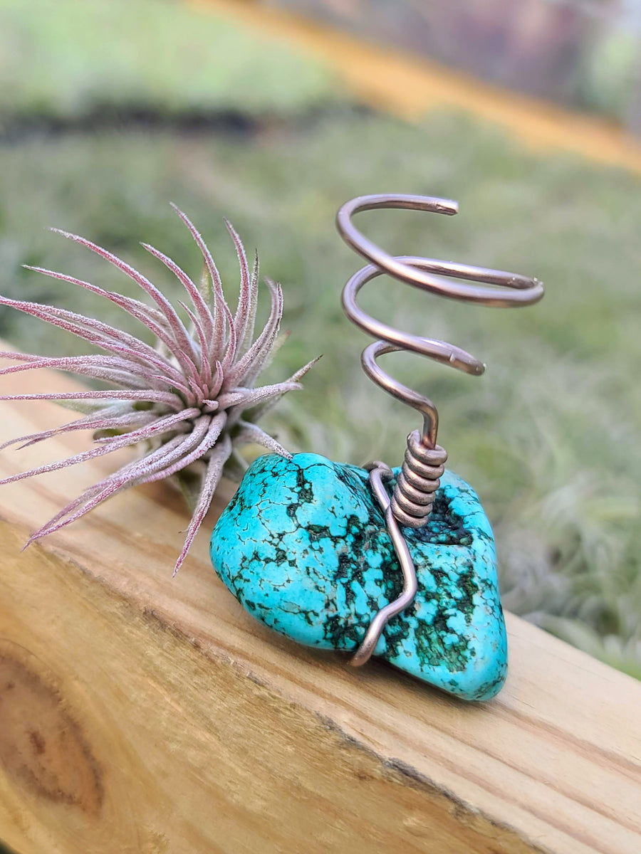 WYSIWYG Turquoise Howlite Air Plant Holder with Ionantha