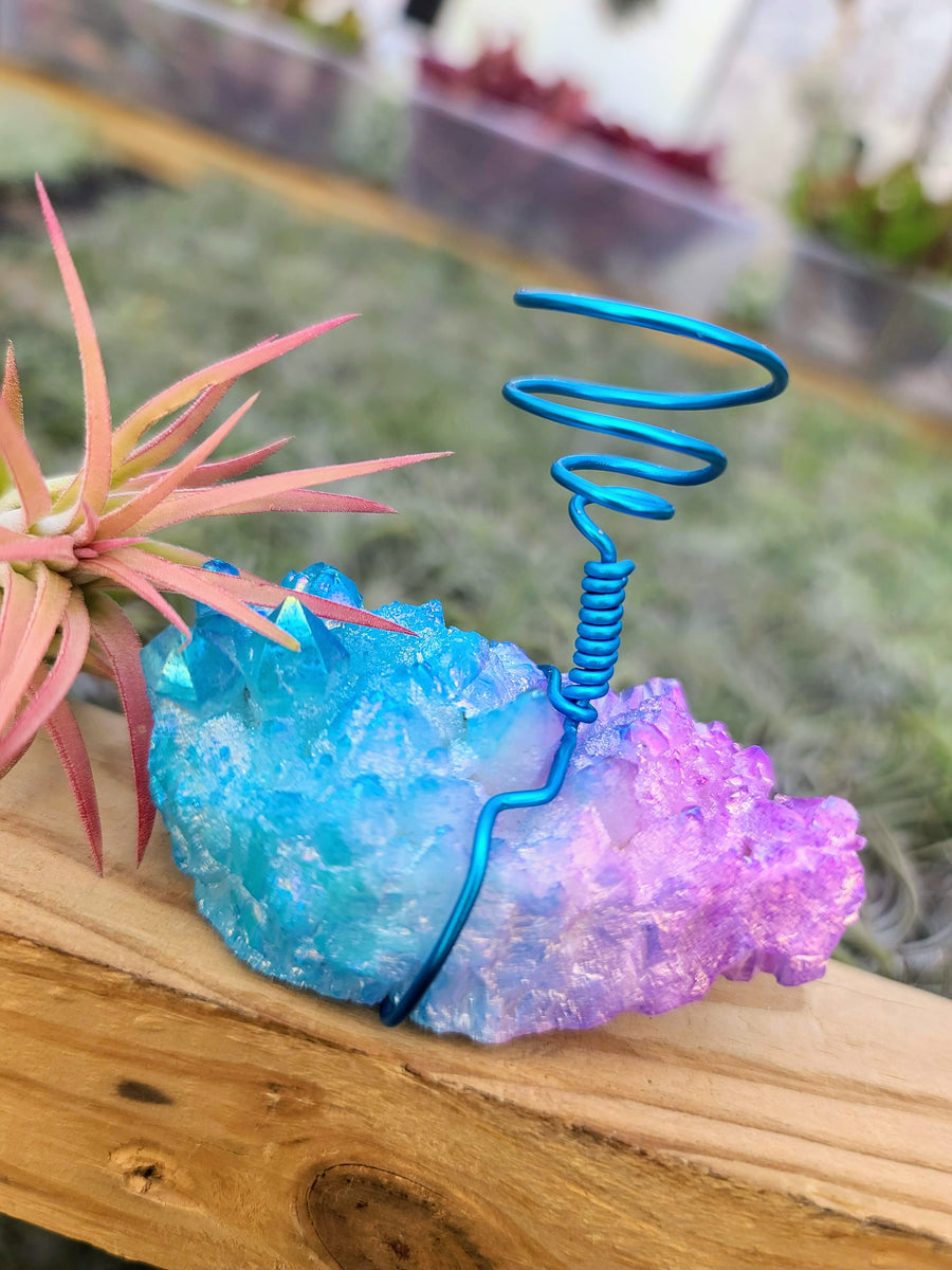 WYSIWYG Aura Quartz Cluster Air Plant Holder with Rubra
