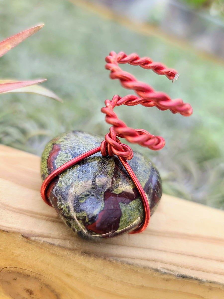 WYSIWYG Dragons Blood Heart Air Plant Holder with Brachycaulos