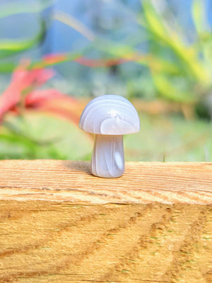 Mini Agate Crystal Mushroom
