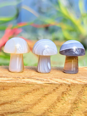 Mini Agate Crystal Mushroom