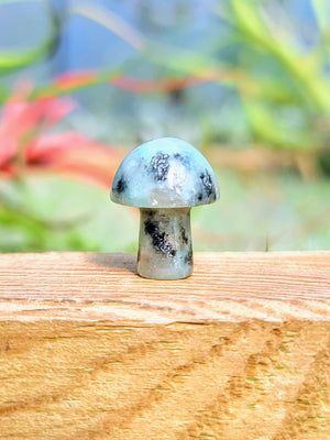 Mini Kiwi Jasper Crystal Mushroom