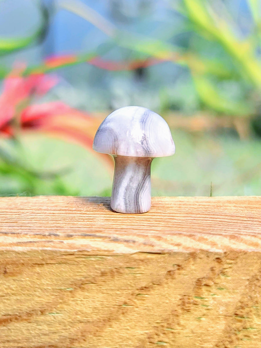 Mini White Agate Crystal Mushroom