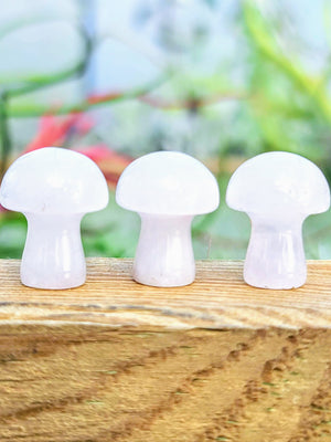 Mini Rose Quartz Crystal Mushroom