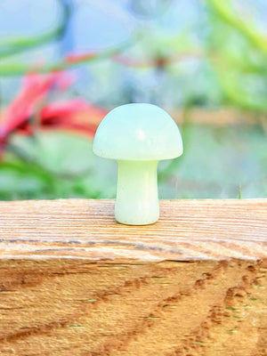 Mini Luminous Crystal Mushroom