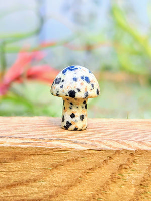 Mini Dalmatian Jasper Crystal Mushroom