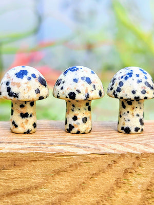 Mini Dalmatian Jasper Crystal Mushroom