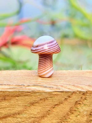 Mini Carnelian Crystal Mushroom