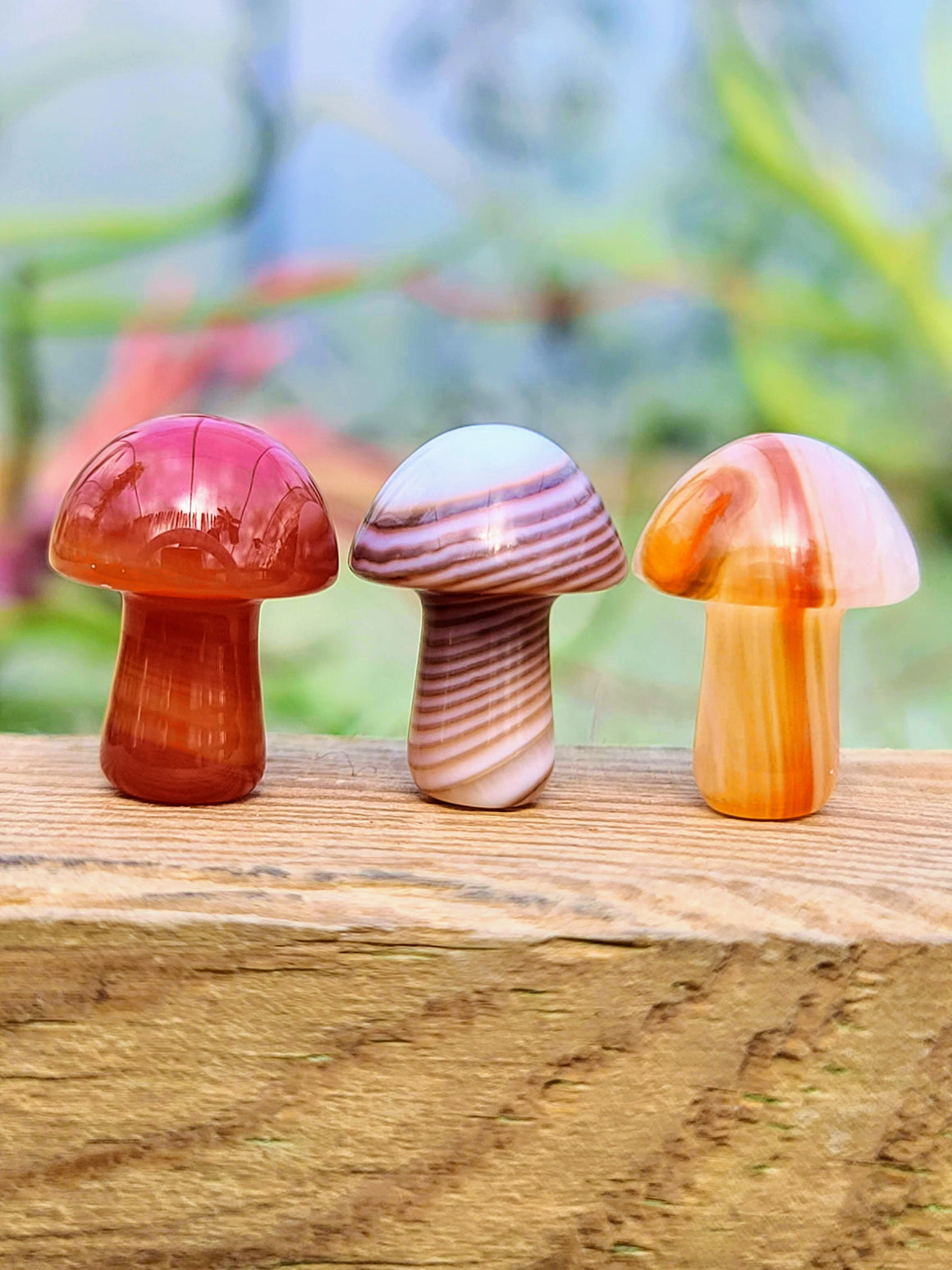 Mini Carnelian Crystal Mushroom