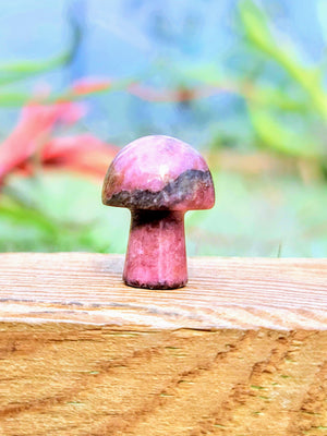 Mini Rhodonite Crystal Mushroom