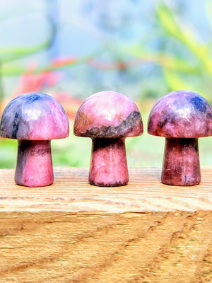 Mini Rhodonite Crystal Mushroom