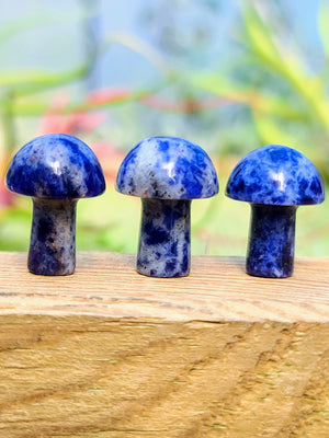 Mini Sodalite Crystal Mushroom