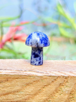 Mini Sodalite Crystal Mushroom