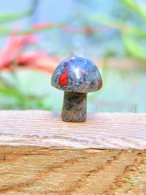 Mini Bloodstone Crystal Mushroom