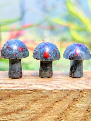 Mini Bloodstone Crystal Mushroom