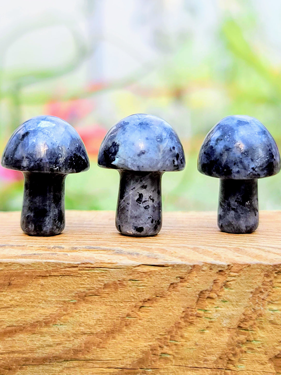 Mini Larvikite Crystal Mushroom