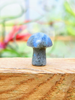 Mini Labradorite Crystal Mushroom