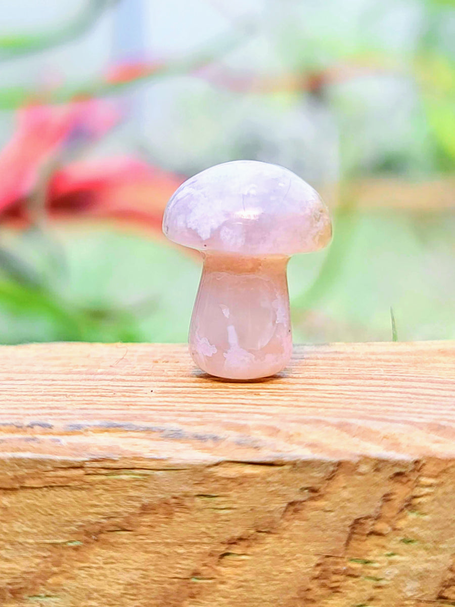 Mini Flower Agate Crystal Mushroom
