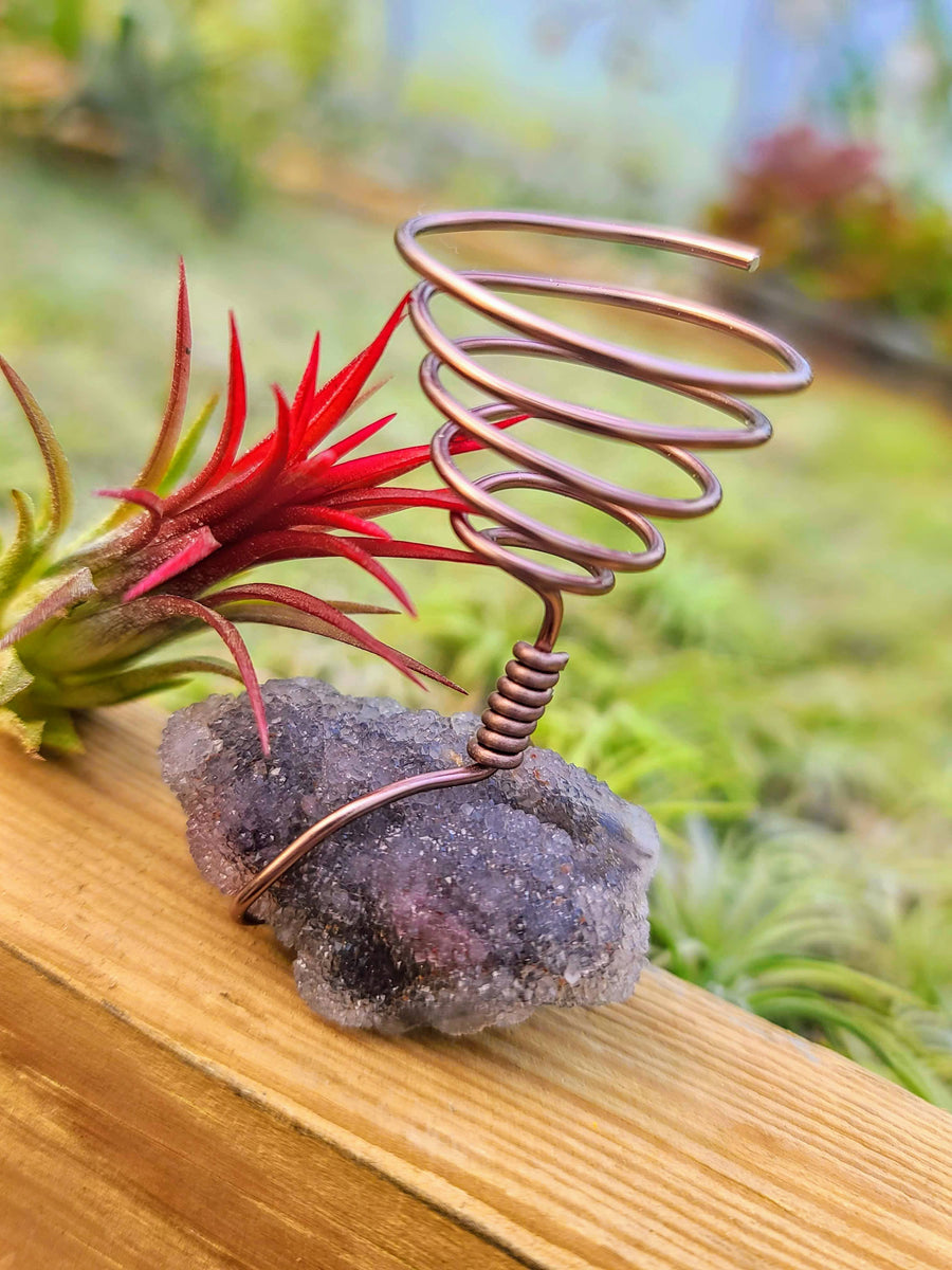 WYSIWYG Sphalerite Air Plant Holder with Fuego