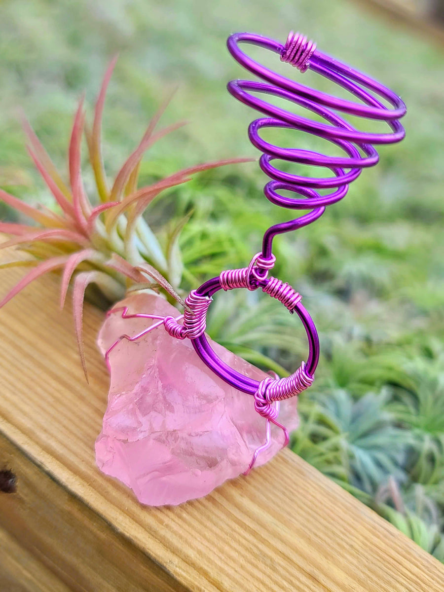 WYSIWYG Rose Quartz Air Plant Holder with Ionantha Mexican